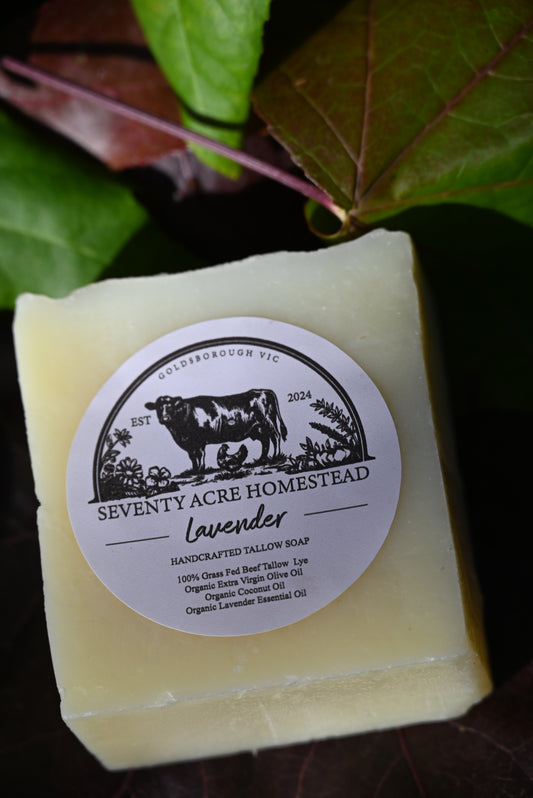 Lavender Tallow Soap
